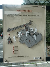 Infotafel: Römischer Kelterstein